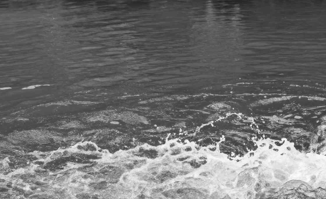 The Bottom of the Pyramid: Rosemead's Part-Time Posting, Mirpur's Silent Lanes, and the Labour Economy of Swimming The Bottom of the Pyramid: Rosemead's Part-Time Posting, Mirpur's Silent Lanes, and the Labour Economy of Swimming