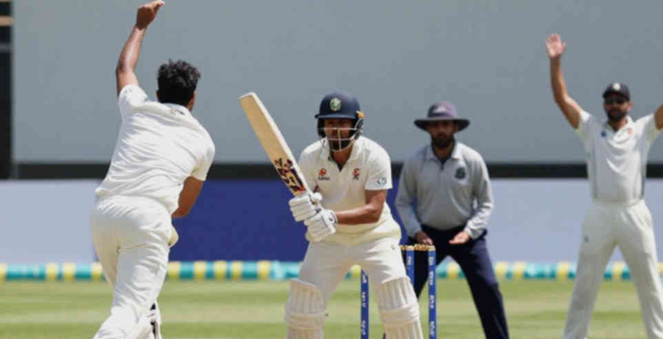 The Scorecard Nobody Reads: Asian Cricket's Silent Numbers The Scorecard Nobody Reads: Asian Cricket's Silent Numbers