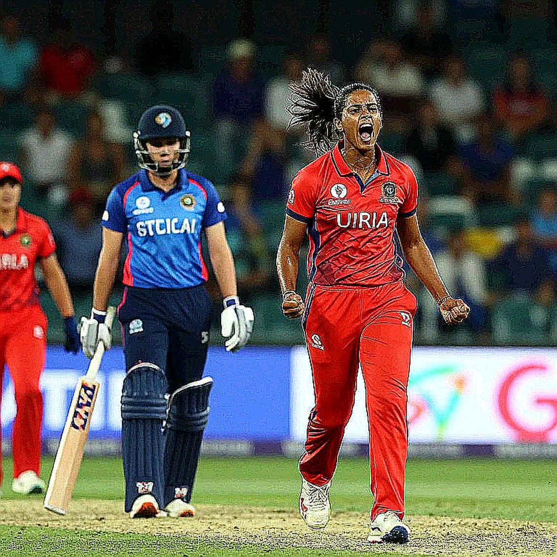 আলবি মর্কেলের চেন্নাই প্রত্যাবর্তন: কোচিং বাজারের নীরব ট্রান্সফার এবং একটি পরিবারের পুরনো হিসাব